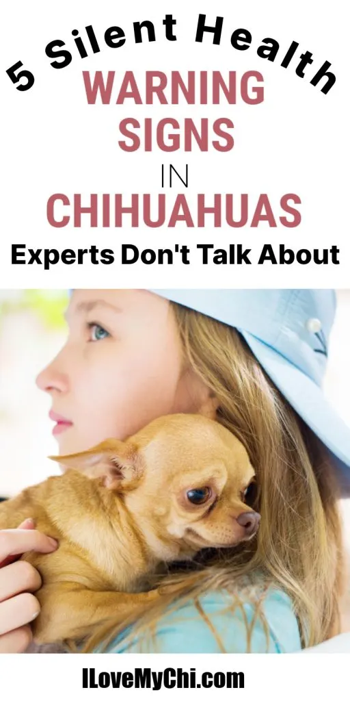 A girl with long hair wearing a blue hat holds a Chihuahua close to their face, with the text "5 Silent Health Warning Signs in Chihuahuas Experts Don't Talk About" displayed prominently above.