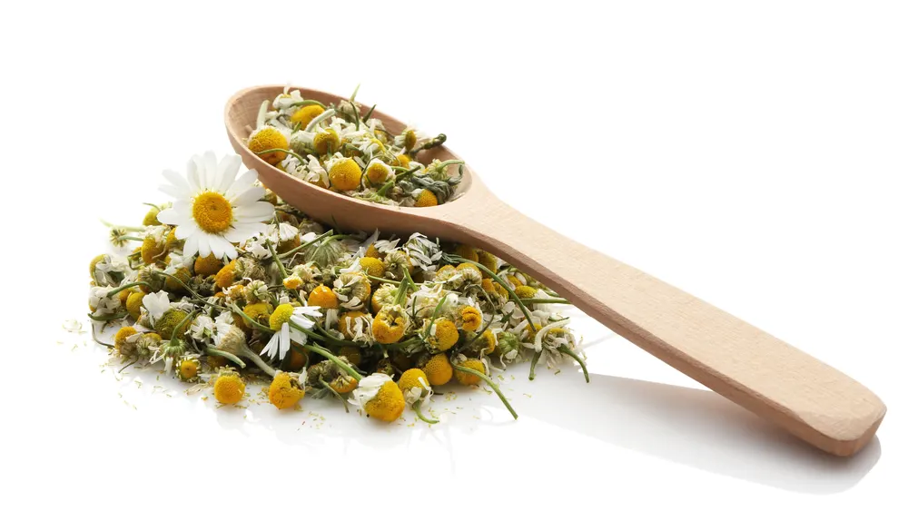 Dried chamomile flowers and wooden spoon.