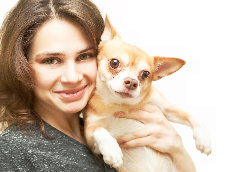 Smiling brown haired woman holding fawn Chihuahua.