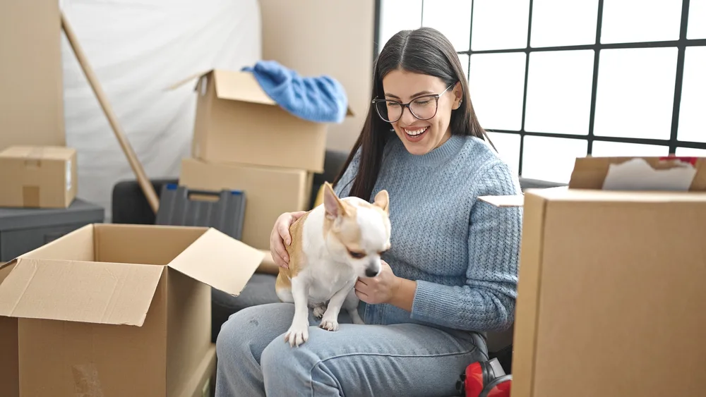 Dark Haired woman sitting among moving boxes with Chihuahua dog.