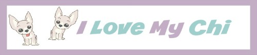I Love My Chi